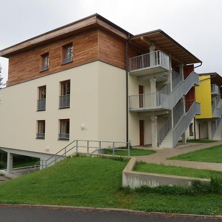 Family Apartment Lipno Lake Lipno nad Vltavou Exterior photo